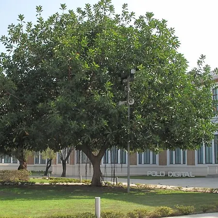 Amadeo Vives 3 Apartment Malaga