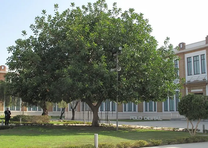Amadeo Vives 3 Apartment Malaga